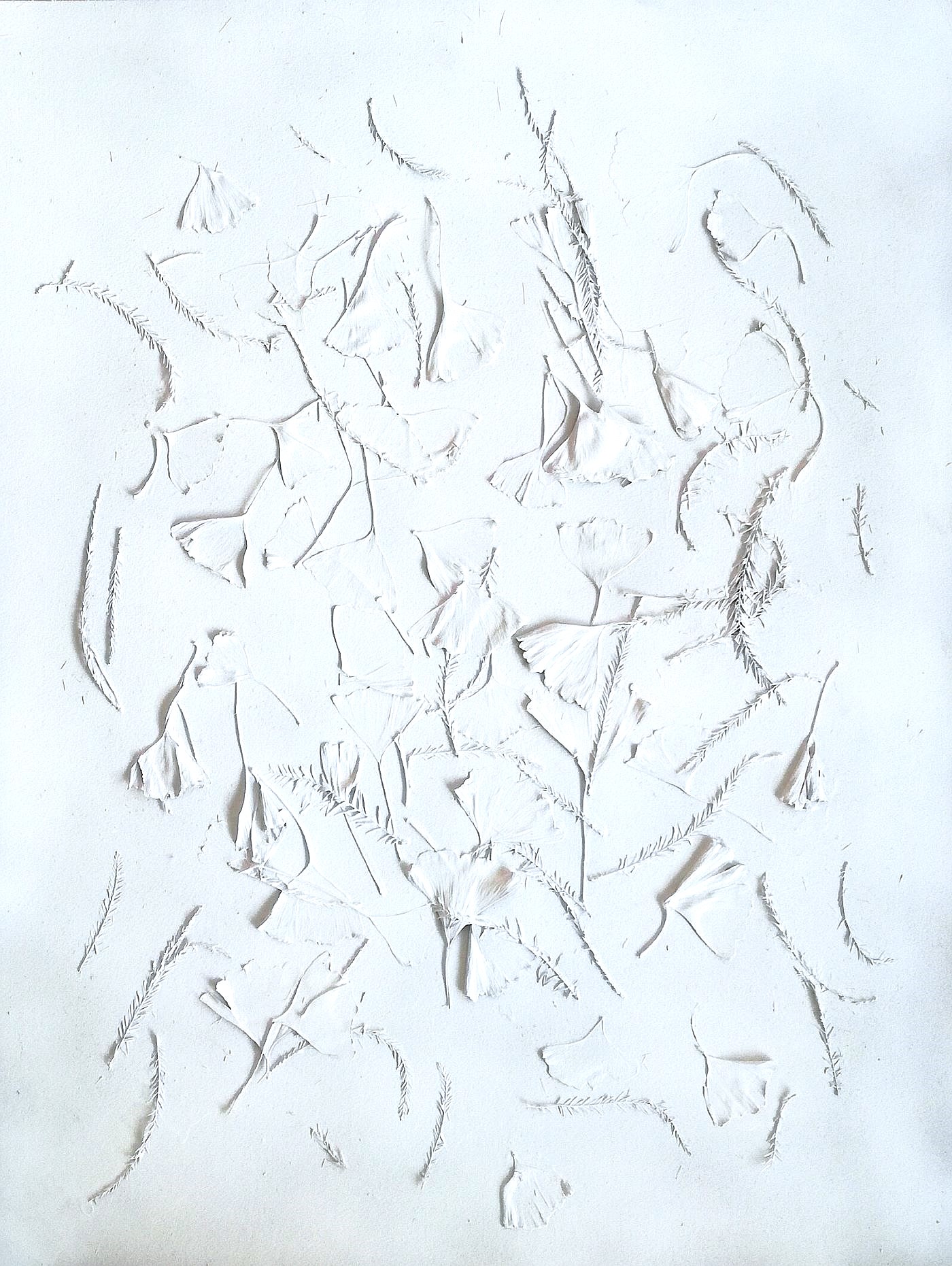 Abbondanza, 2024 foglie di ginkgo e aghi di pino su cartoncino cm 63x48